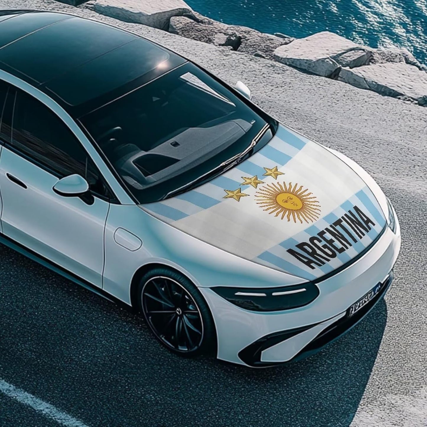 Argentina Flag Car Hood Cover